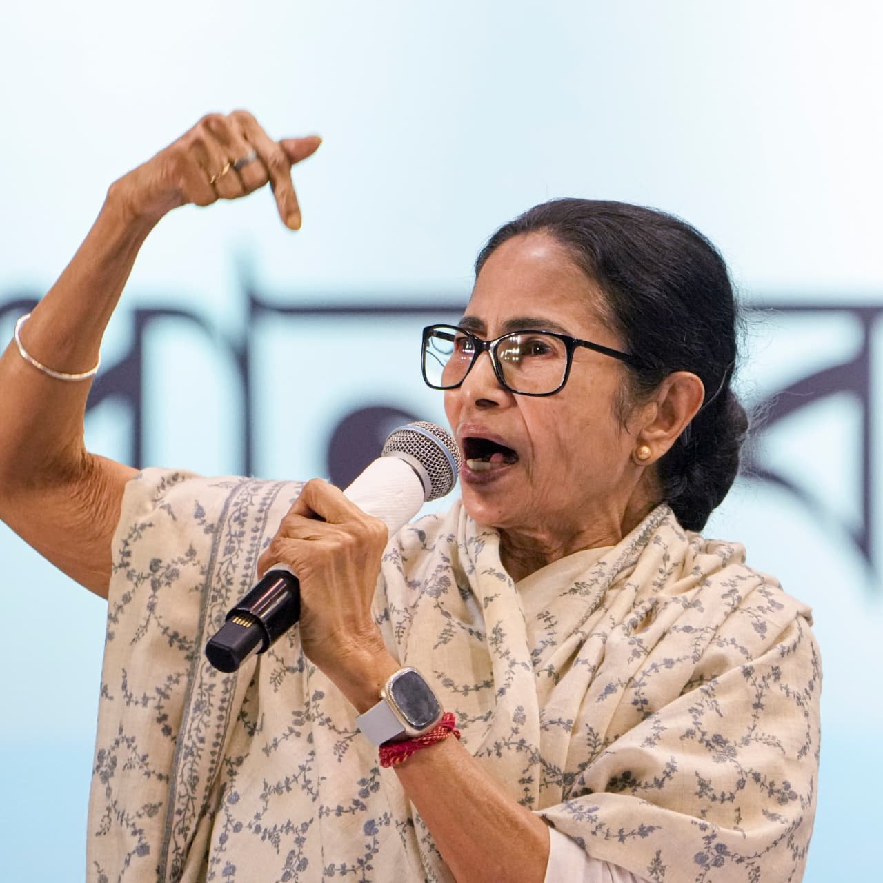 Mamata Banerjee Says Trinamool Didn't Lose Bengal Election